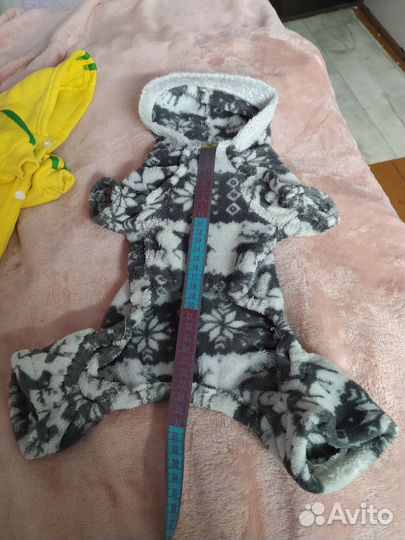 Одежда для собак мальчик