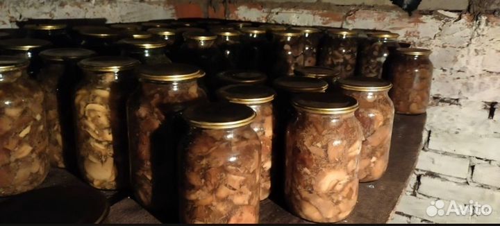 Грибы опята маринованные