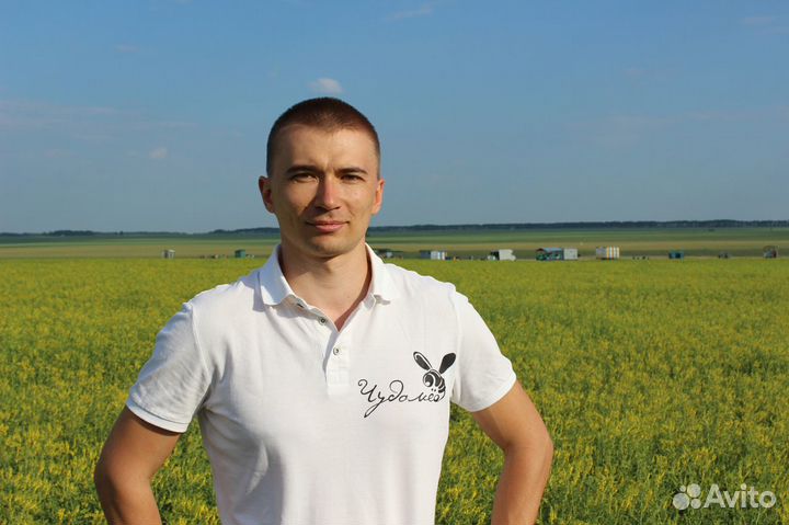 Мёд оптом, своя пасека, от 1 кг - Сыктывкар