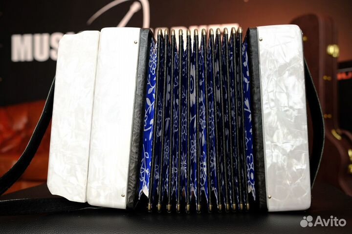 Гармонь детская