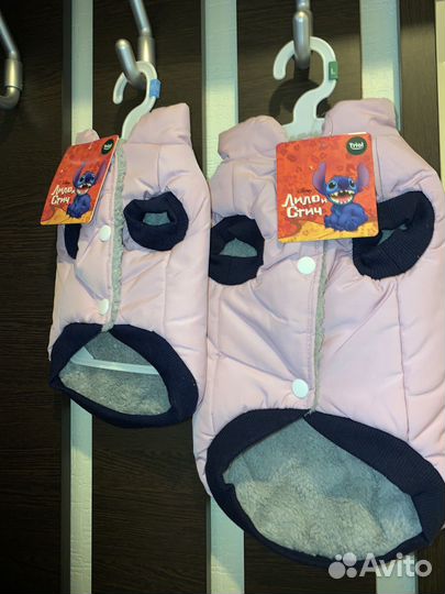 Одежда для собак