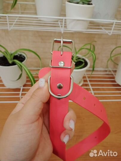 Ошейник из биотана