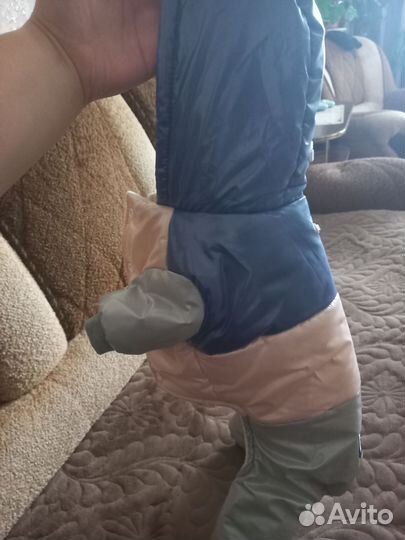 Одежда для собак