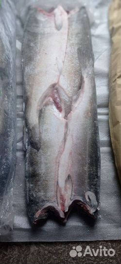 Кижуч камчатка С/М 4 рыбины на пласт