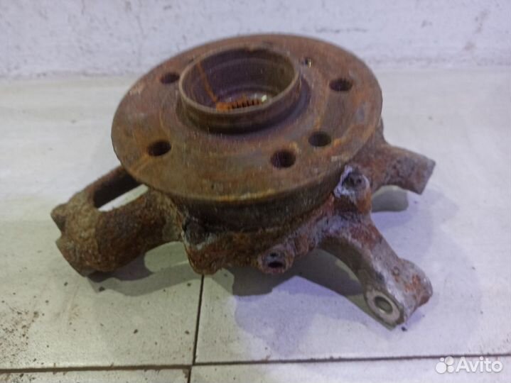 Кулак задний левый