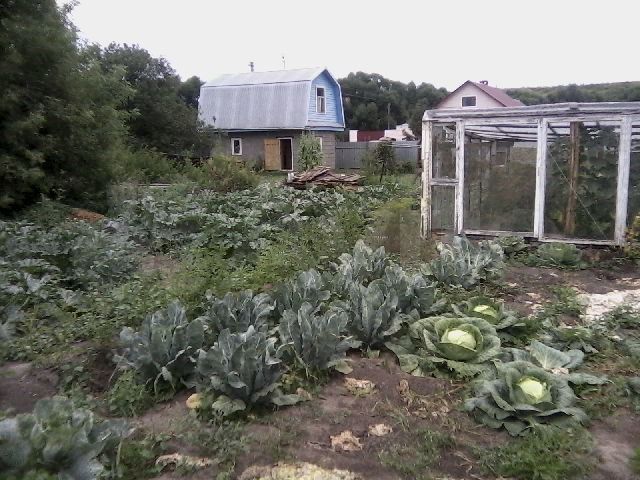 Участок 7,5 сот. (ИЖС)