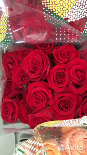 Розы разные сорта