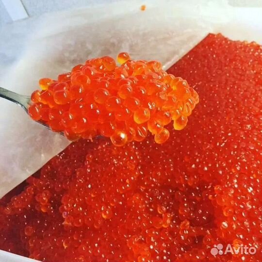 Икра красная только прямая Камчатка