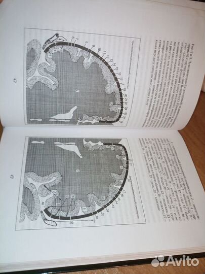 Драконы Эдема. Карл Саган. Популярная наука 2015г