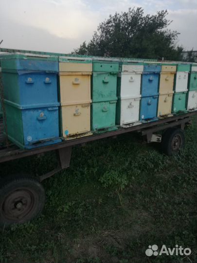 Пчелоприцеп с документами