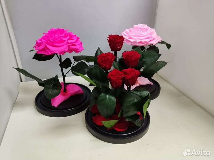 Подарок на новый год / Цветы