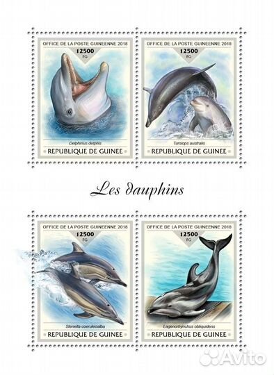 Гвинея, 2018. (gu18424) Морская фауна, дельфины (м