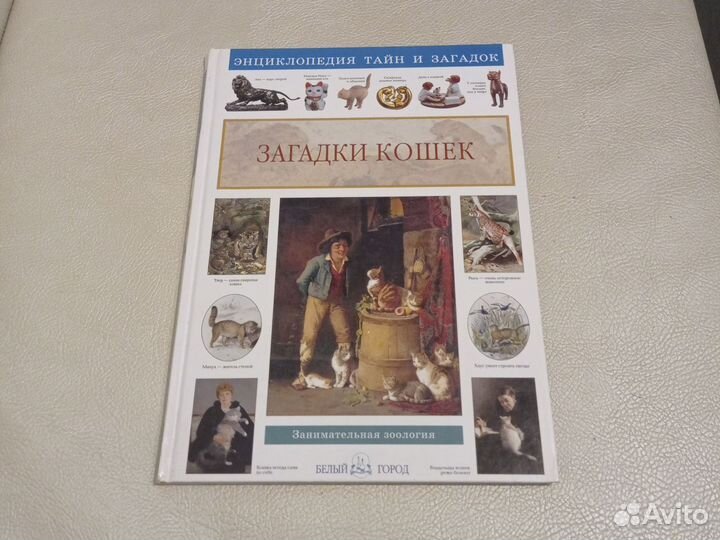 Энциклопедия для детей 