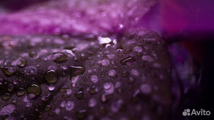 Комнатные растения#1