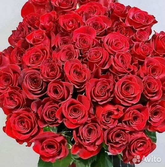 Высокие розы Букеты с доставкой