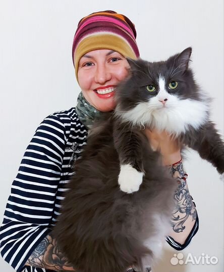 Зооняня, присмотрю за домашними животными