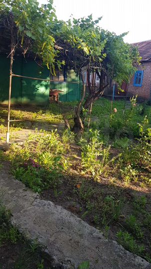 Дом 65 м² на участке 6 сот.