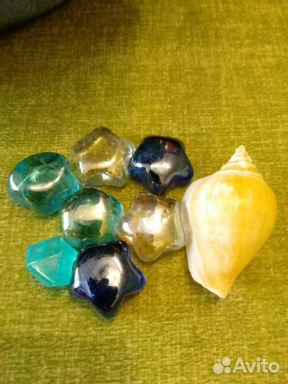 Аквариумное растение