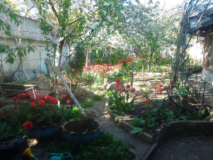 Дом 72 м² на участке 11 сот.