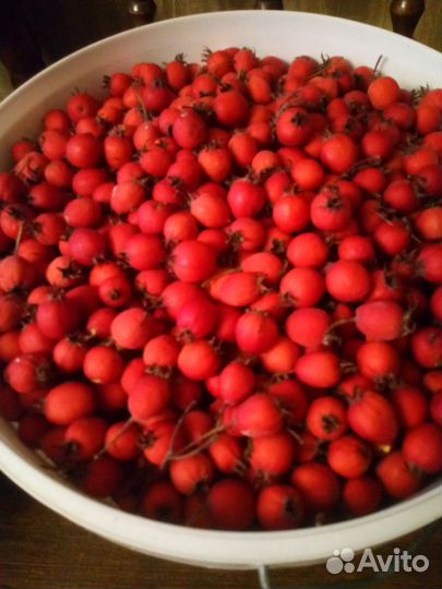 Боярышник ягоды