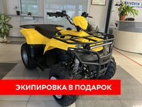 Квадроцикл Irbis ATV 200 LUX