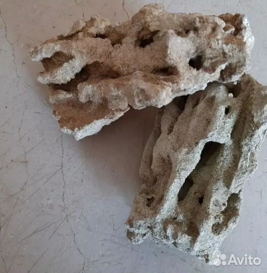 Кораллы натуральные