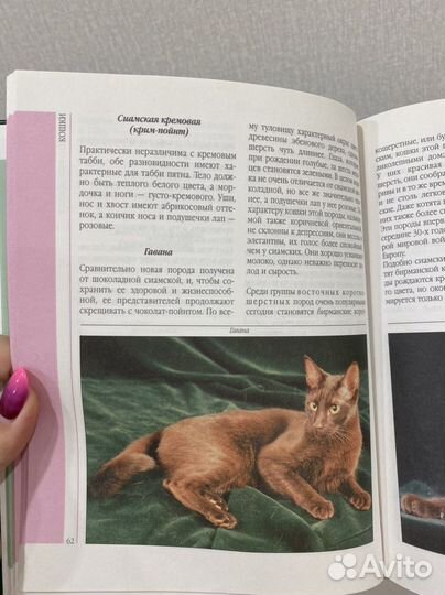 Книга про кошек