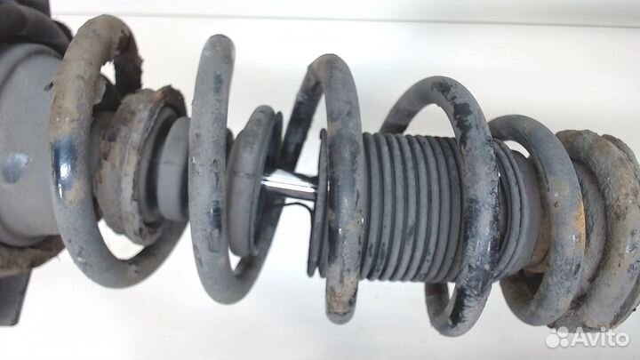 Амортизатор подвески Nissan Primera P12, 2005