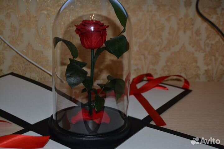 Розы в колбе