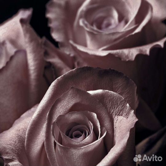 Картина маслом розовые Розы для декора