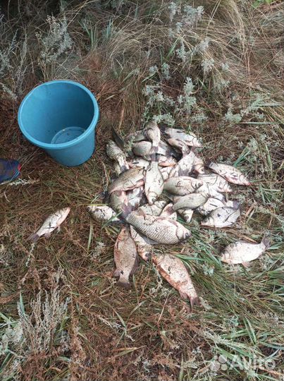 Фидер спиннинг в сборе 2,1 м