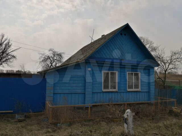 авито березка