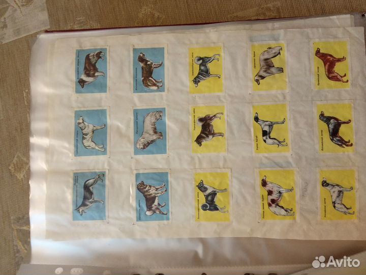 Коллекция наборов спичечных этикеток