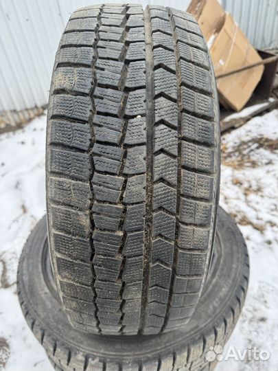 Dunlop Winter Maxx WM02 205/55 R16