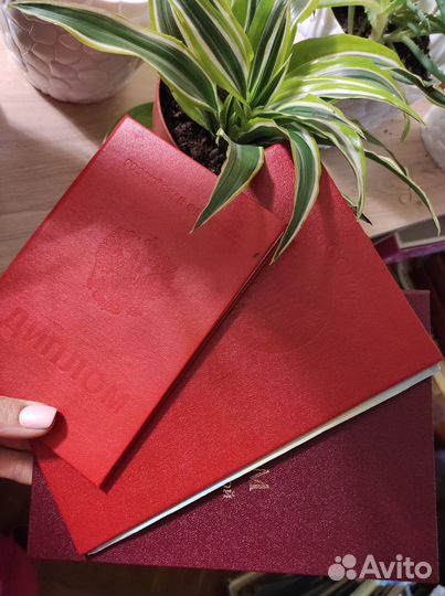 Подготовка детей к школе, а также детки овз и зпр