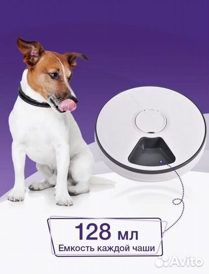 Автокормушка для кошек и собак