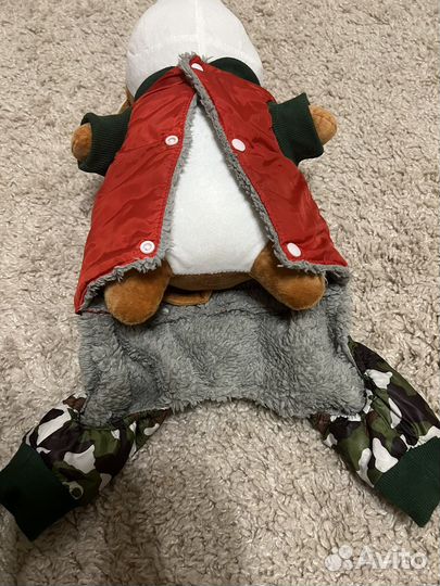 Одежда для собак