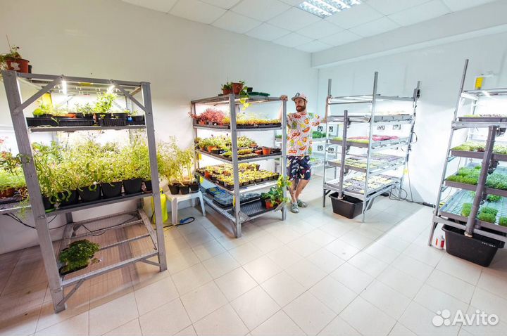 Новая свободная ниша в твоем городе. обучение