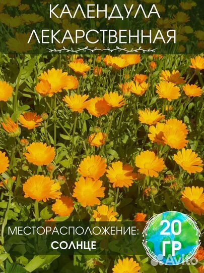 Календула лекарственная, семена