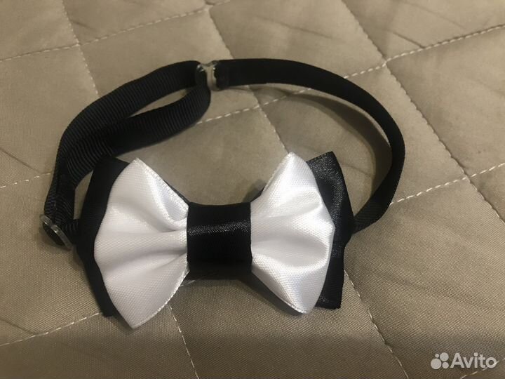 Аксессуары для животных мелких пород