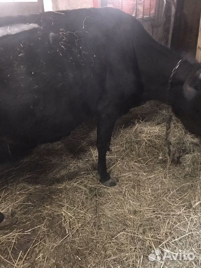 Подсобное личное хозяйство