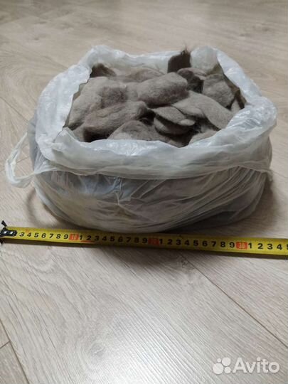 Кошачья шерсть