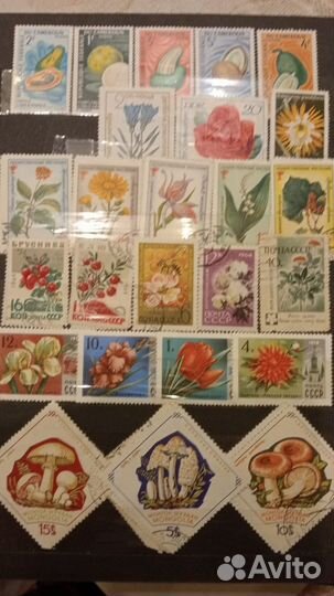 Марки флора и фауна разных стран