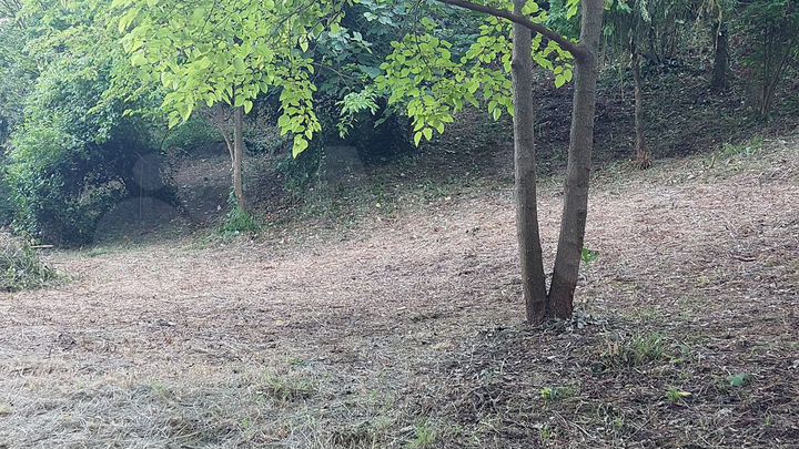 Участок 6 сот. (СНТ, ДНП)