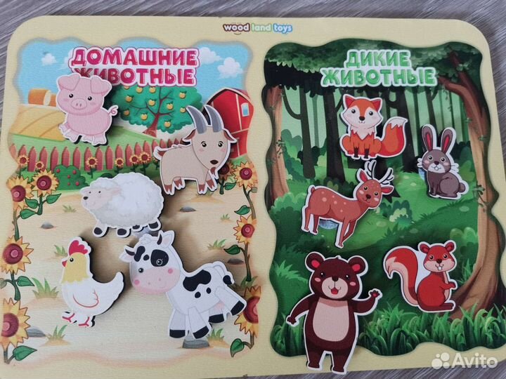 Развивающие игрушки для малышей сортеры