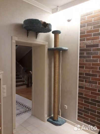 Когтеточка 190см