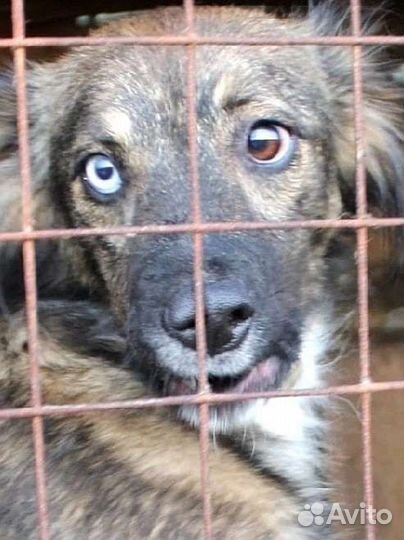 Тина ищет дом