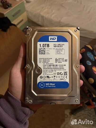 Жесткий диск