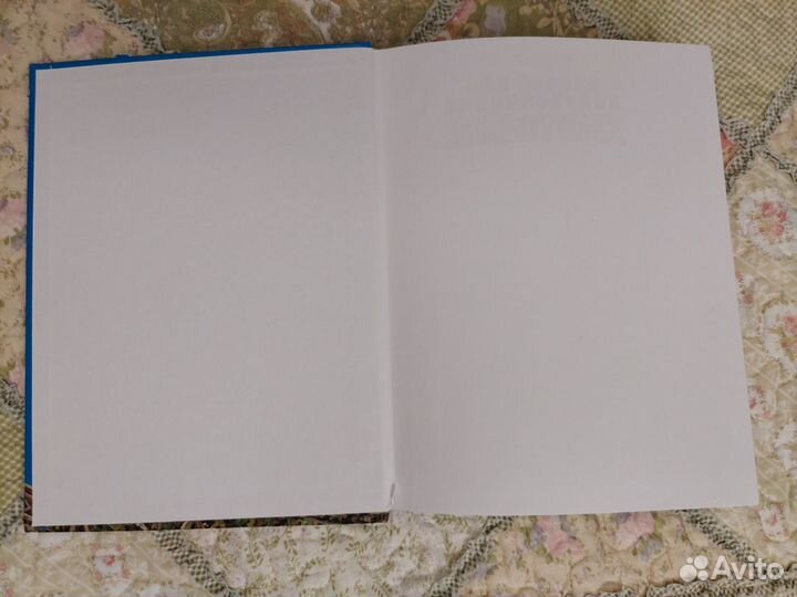 Стив Паркер 