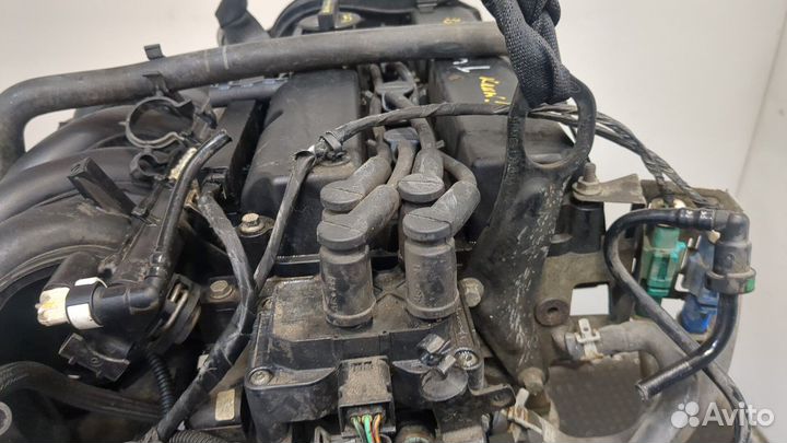 Двигатель Ford Focus 2 shda, shdc